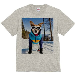 WbNbZeA TVc fB[X t@  t  vg JWA 킢 lԗp h ̃fUC ʔ XL[ WbNbZeA ~  XL[E