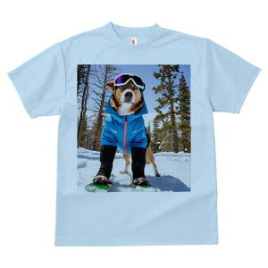 ~bNX TVc fB[X t@  t  vg JWA 킢 lԗp h ̃fUC ʔ XL[ ~bNX XL[EFA ~ R