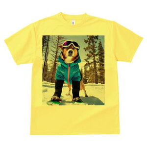 ~bNX TVc fB[X t@  t  vg JWA 킢 lԗp h ̃fUC ʔ XL[ ~bNX XL[EFA ~ R