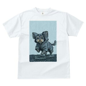 [NV[eA TVc fB[X t@  t  vg JWA 킢 lԗp h ̃fUC ʔ J [NV[eA CR[g