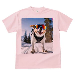 R[M[ TVc fB[X t@  t  vg JWA 킢 lԗp h ̃fUC ʔ XL[ R[M[  S[O ~