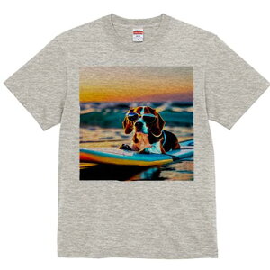 r[O TVc fB[X t@  t  vg JWA 킢 lԗp h ̃fUC ʔ TOX r[O T[t{[h C [Ă