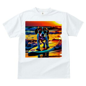 r[O TVc fB[X t@  t  vg JWA 킢 lԗp h ̃fUC ʔ T[tB r[O C [Ă g