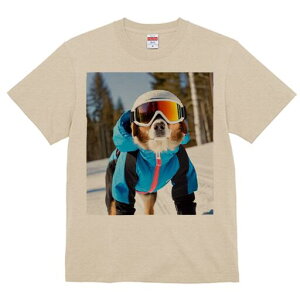 I[XgAVFp[h TVc fB[X t@  t  vg JWA 킢 lԗp h ̃fUC ʔ XL[EFA I[XgAVFp[h