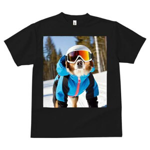 I[XgAVFp[h TVc Y LbY t@  t  vg JWA 킢 lԗp h ̃fUC ʔ XL[EFA I[XgAVFp