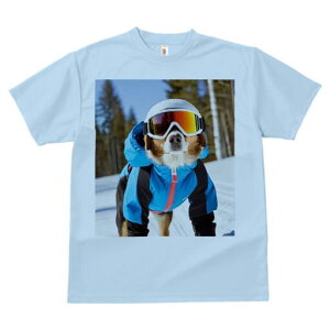 I[XgAVFp[h TVc Y LbY t@  t  vg JWA 킢 lԗp h ̃fUC ʔ XL[EFA I[XgAVFp