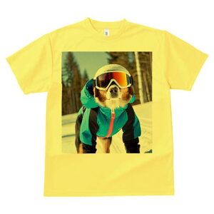 I[XgAVFp[h TVc Y LbY t@  t  vg JWA 킢 lԗp h ̃fUC ʔ XL[EFA I[XgAVFp