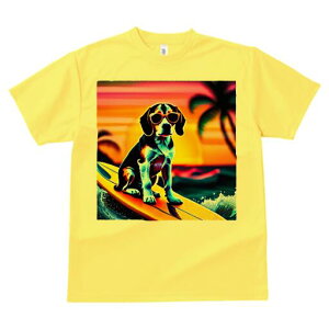 r[O TVc fB[X t@  t  vg JWA 킢 lԗp h ̃fUC ʔ T[tB r[O C r[` 