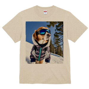 r[O TVc Y LbY t@  t  vg JWA 킢 lԗp h ̃fUC ʔ XL[ r[O  ~ XL[EFA