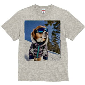 r[O TVc fB[X t@  t  vg JWA 킢 lԗp h ̃fUC ʔ XL[ r[O  ~ XL[EFA