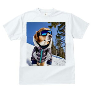 r[O TVc Y LbY t@  t  vg JWA 킢 lԗp h ̃fUC ʔ XL[ r[O  ~ XL[EFA