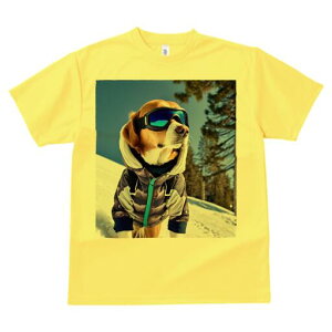 r[O TVc Y LbY t@  t  vg JWA 킢 lԗp h ̃fUC ʔ XL[ r[O  ~ XL[EFA