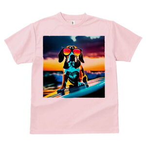 r[O TVc fB[X t@  t  vg JWA 킢 lԗp h ̃fUC ʔ TOX r[O T[tB