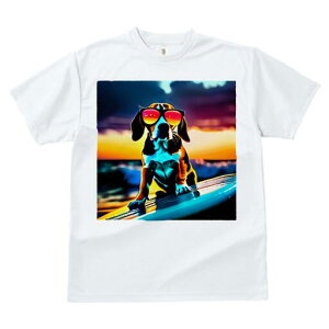 r[O TVc fB[X t@  t  vg JWA 킢 lԗp h ̃fUC ʔ TOX r[O T[tB