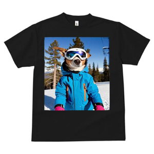 R[M[ TVc fB[X t@  t  vg JWA 킢 lԗp h ̃fUC ʔ XL[EFA R[M[ XL[S[O R XL[