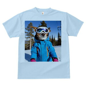 R[M[ TVc Y LbY t@  t  vg JWA 킢 lԗp h ̃fUC ʔ XL[EFA R[M[ XL[S[O R XL[