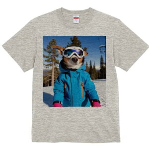 R[M[ TVc fB[X t@  t  vg JWA 킢 lԗp h ̃fUC ʔ XL[EFA R[M[ XL[S[O R XL[