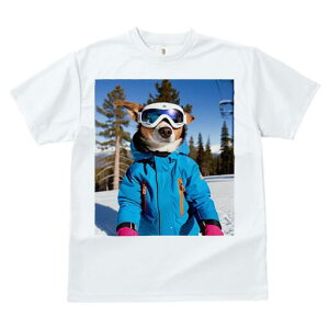 R[M[ TVc Y LbY t@  t  vg JWA 킢 lԗp h ̃fUC ʔ XL[EFA R[M[ XL[S[O R XL[