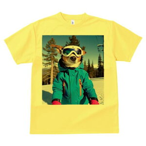R[M[ TVc fB[X t@  t  vg JWA 킢 lԗp h ̃fUC ʔ XL[EFA R[M[ XL[S[O R XL[