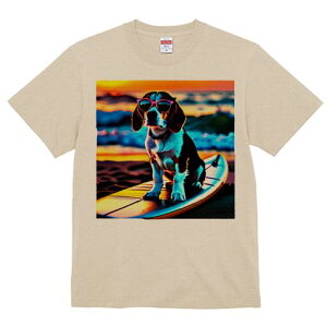 r[O TVc fB[X t@  t  vg JWA 킢 lԗp h ̃fUC ʔ TOX r[O T[t{[h C r[`