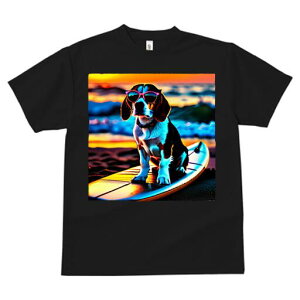 r[O TVc fB[X t@  t  vg JWA 킢 lԗp h ̃fUC ʔ TOX r[O T[t{[h C r[`