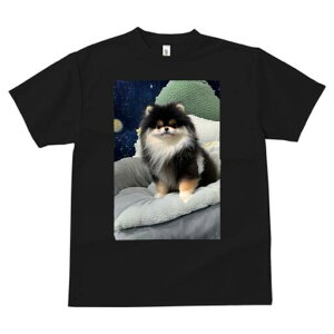 |jA TVc fB[X t@  t  vg JWA 킢 lԗp h ̃fUC ʔ pxbh |jA 