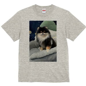 |jA TVc fB[X t@  t  vg JWA 킢 lԗp h ̃fUC ʔ pxbh |jA 