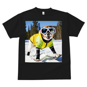 Č TVc fB[X t@  t  vg JWA 킢 lԗp h ̃fUC ʔ XL[ Č XL[EFA S[O 