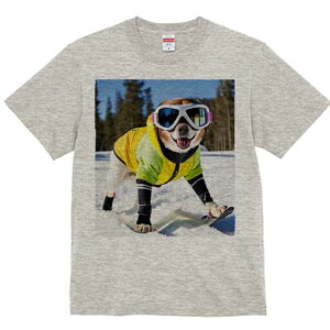 柴犬 Tシャツ レディース 犬ファン 半袖 春夏 犬柄 プリント カジュアル かわいい 人間用 個性派 ここだけのデザイン 面白 スキー 柴犬 スキーウェア ゴーグル 雪