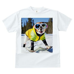 Č TVc Y LbY t@  t  vg JWA 킢 lԗp h ̃fUC ʔ XL[ Č XL[EFA S[O 