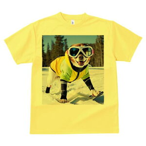 Č TVc fB[X t@  t  vg JWA 킢 lԗp h ̃fUC ʔ XL[ Č XL[EFA S[O 