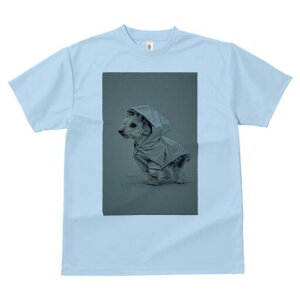 [NV[eA TVc fB[X t@  t  vg JWA 킢 lԗp h ̃fUC ʔ CR[g [NV[eA t[h