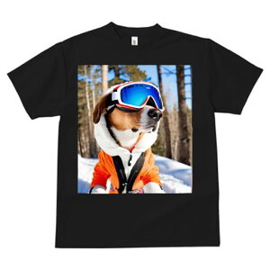 r[O TVc fB[X t@  t  vg JWA 킢 lԗp h ̃fUC ʔ XL[ r[O XL[EFA S[O 