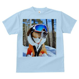 �r�[�O�� T�V���c ���f�B�[�X ���t�@�� ���� �t�� ���� �v�����g �J�W���A�� ���킢�� �l�ԗp ���h ���������̃f�U�C�� �ʔ� �X�L�[ �r�[�O�� �X�L�[�E�F�A �S�[�O�� ��