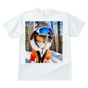 r[O TVc fB[X t@  t  vg JWA 킢 lԗp h ̃fUC ʔ XL[ r[O XL[EFA S[O 