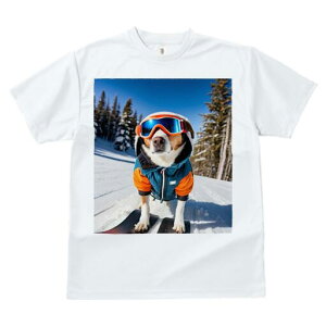 WbNbZeA TVc fB[X t@  t  vg JWA 킢 lԗp h ̃fUC ʔ XL[ WbNbZeA XL[EFA 