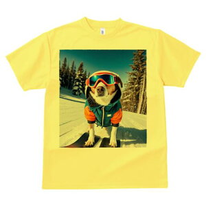 WbNbZeA TVc fB[X t@  t  vg JWA 킢 lԗp h ̃fUC ʔ XL[ WbNbZeA XL[EFA 