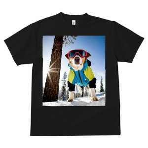 WbNbZeA TVc fB[X t@  t  vg JWA 킢 lԗp h ̃fUC ʔ XL[EFA WbNbZeA XL[