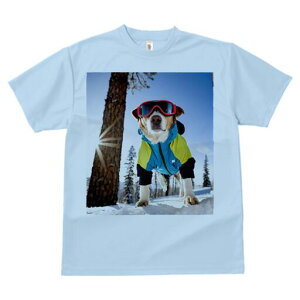 WbNbZeA TVc fB[X t@  t  vg JWA 킢 lԗp h ̃fUC ʔ XL[EFA WbNbZeA XL[