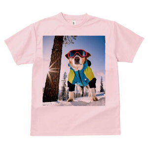 WbNbZeA TVc fB[X t@  t  vg JWA 킢 lԗp h ̃fUC ʔ XL[EFA WbNbZeA XL[