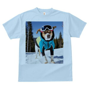 WbNbZeA TVc fB[X t@  t  vg JWA 킢 lԗp h ̃fUC ʔ XL[ WbNbZeA ~  XL[E