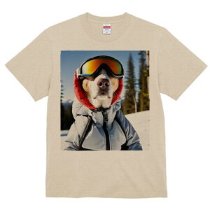 r[O TVc fB[X t@  t  vg JWA 킢 lԗp h ̃fUC ʔ XL[ r[O XL[EFA S[O ~