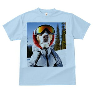 r[O TVc fB[X t@  t  vg JWA 킢 lԗp h ̃fUC ʔ XL[ r[O XL[EFA S[O ~