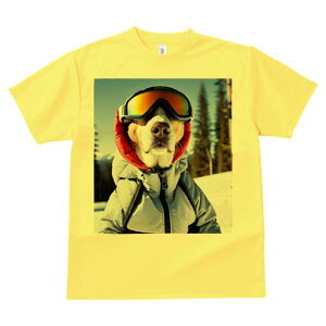 ビーグル Tシャツ レディース 犬ファン 半袖 春夏 犬柄 プリント カジュアル かわいい 人間用 個性派 ここだけのデザイン 面白 スキー ビーグル スキーウェア ゴーグル 冬