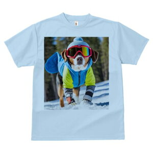 r[O TVc fB[X t@  t  vg JWA 킢 lԗp h ̃fUC ʔ XL[ r[O ~  Xq