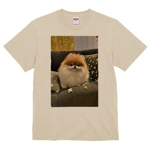 |jA TVc fB[X t@  t  vg JWA 킢 lԗp h ̃fUC ʔ NbV |jA  \t@ CeA