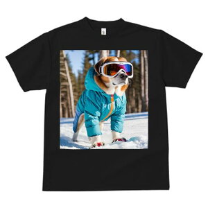 Zgo[i[h TVc fB[X t@  t  vg JWA 킢 lԗp h ̃fUC ʔ XL[EFA Zgo[i[h XL[S[O R 