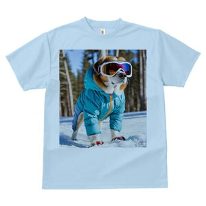 Zgo[i[h TVc fB[X t@  t  vg JWA 킢 lԗp h ̃fUC ʔ XL[EFA Zgo[i[h XL[S[O R 