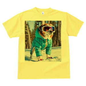 Zgo[i[h TVc fB[X t@  t  vg JWA 킢 lԗp h ̃fUC ʔ XL[EFA Zgo[i[h XL[S[O R 