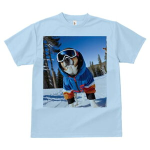 {[_[R[ TVc fB[X t@  t  vg JWA 킢 lԗp h ̃fUC ʔ XL[ {[_[R[ ~  XL[EFA